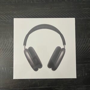 Apple Black Headphones